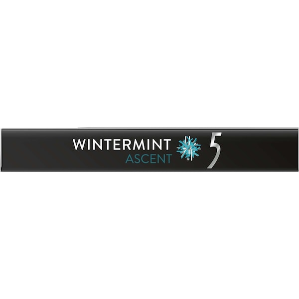 5 Gum Sugarfree Wintermint Ascent Stick Gum 15 Pieces, PK120